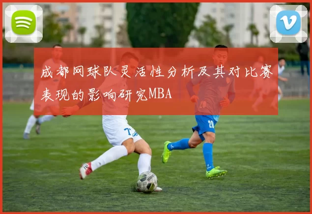 成都网球队灵活性分析及其对比赛表现的影响研究MBA