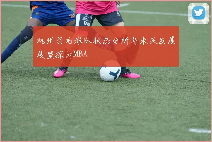 杭州羽毛球队状态分析与未来发展展望探讨MBA